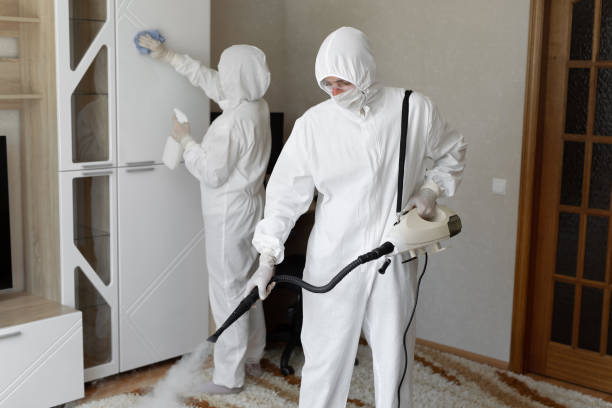 Affordable Infectious Disease Decontamination solutions in Marshallville, GA
